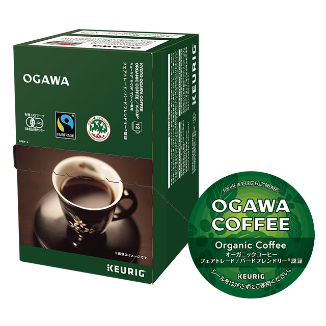 50364n_2048x.jpg?v=1743612556